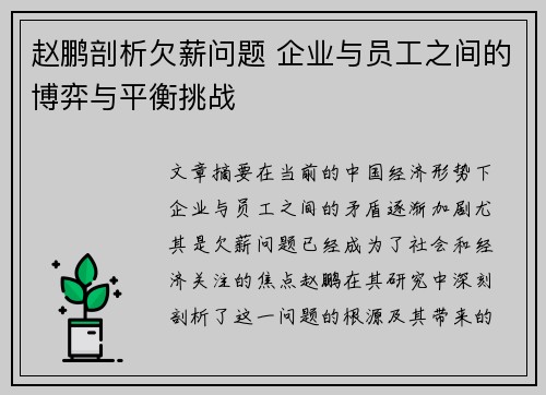 赵鹏剖析欠薪问题 企业与员工之间的博弈与平衡挑战